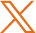 x icon